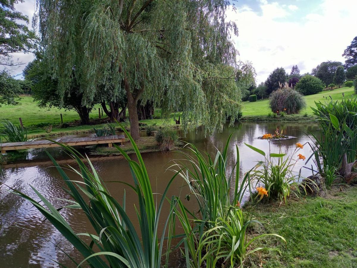 La Gasteboisiere With Swimming Pool And Games Room Le Mesnil-Adelee 外观 照片