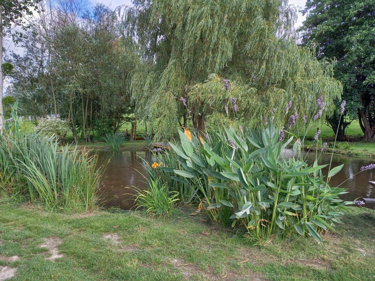 La Gasteboisiere With Swimming Pool And Games Room Le Mesnil-Adelee 外观 照片